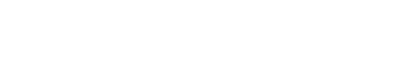 SQL Systems Puls