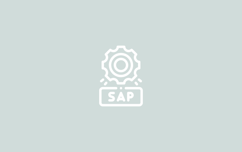SAP expertise