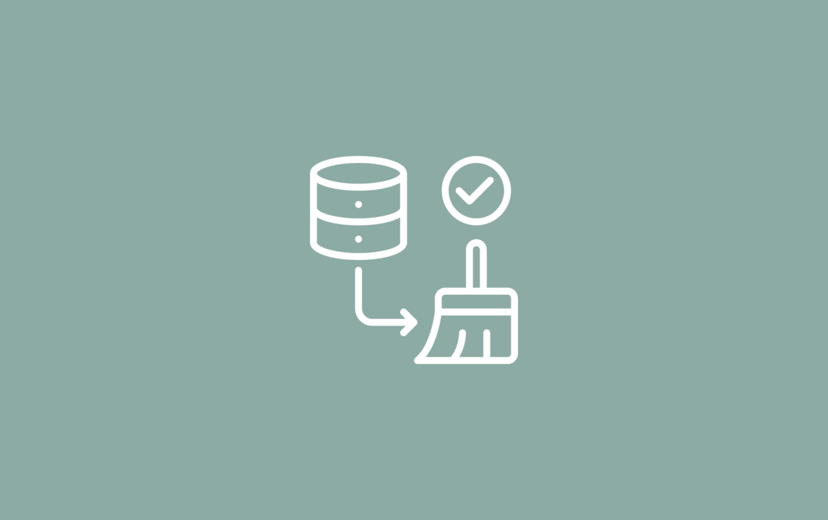 Master data cleansing