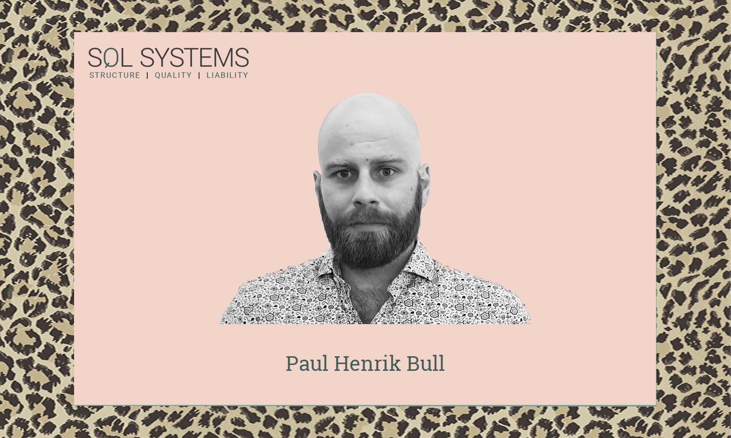 Paul_Henrik_bull_SQL_Systems